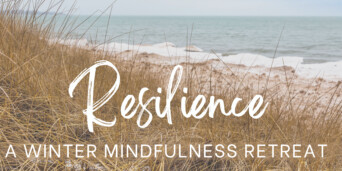 Resilience Winter Mindfulness Retreat Poster 2023 Medium Banner