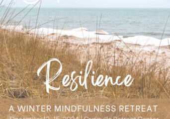 Resilience Winter Mindfulness Retreat 2024 Instagram Post